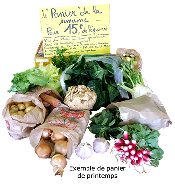 Exemple de panier de printemps